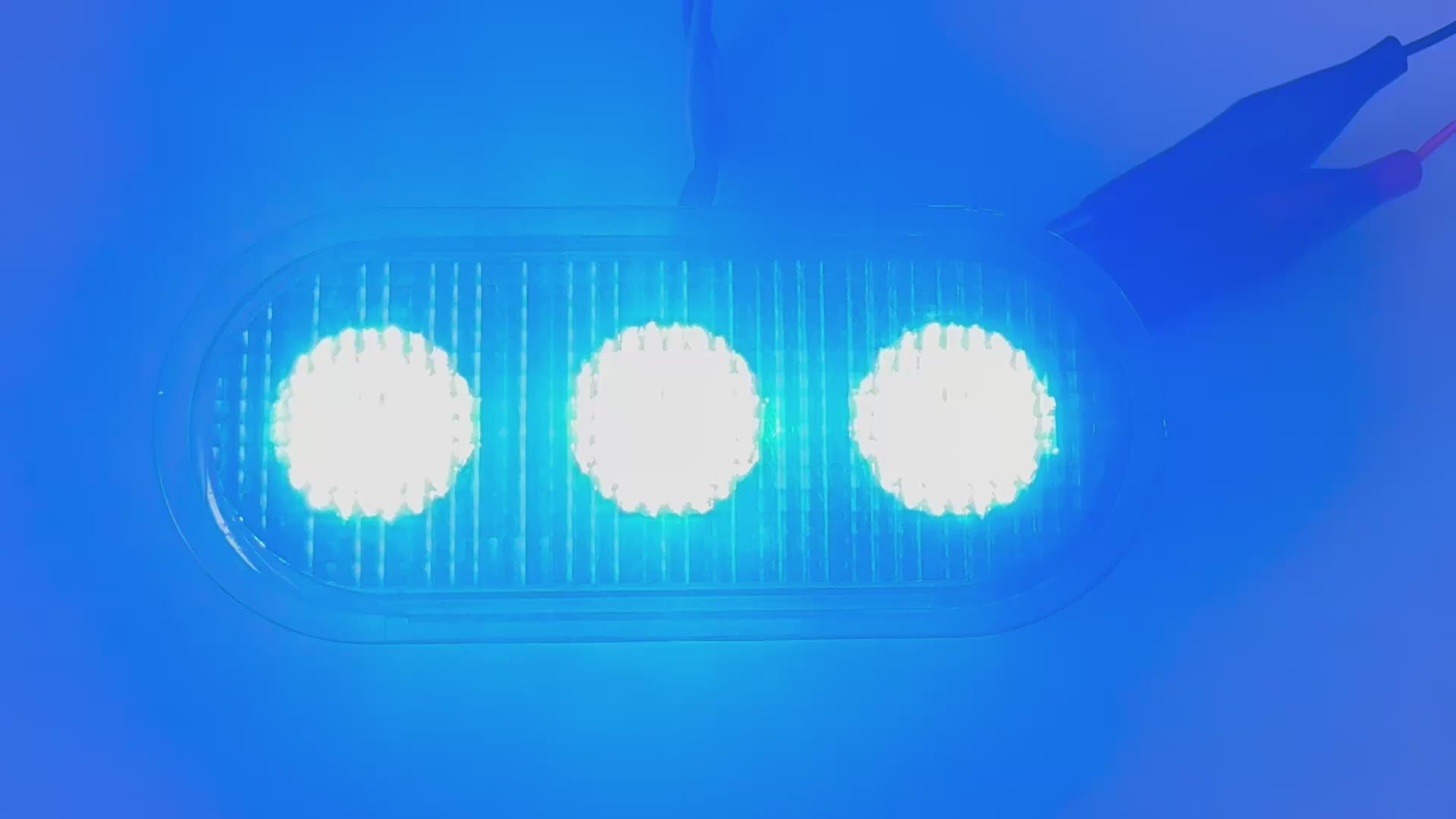 Federal Signal Vama Micro Blue LED ADVANCE 12v / 24v Flashing Lighthead